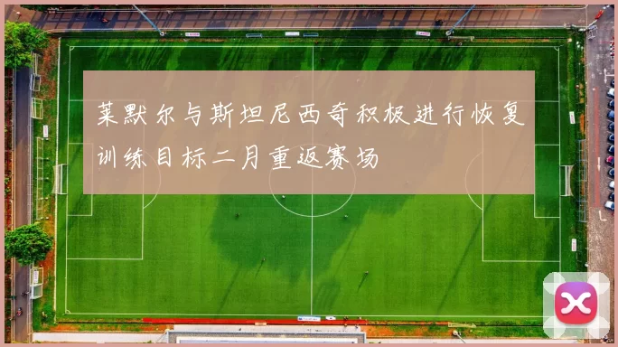 莱默尔与斯坦尼西奇积极进行恢复训练目标二月重返赛场